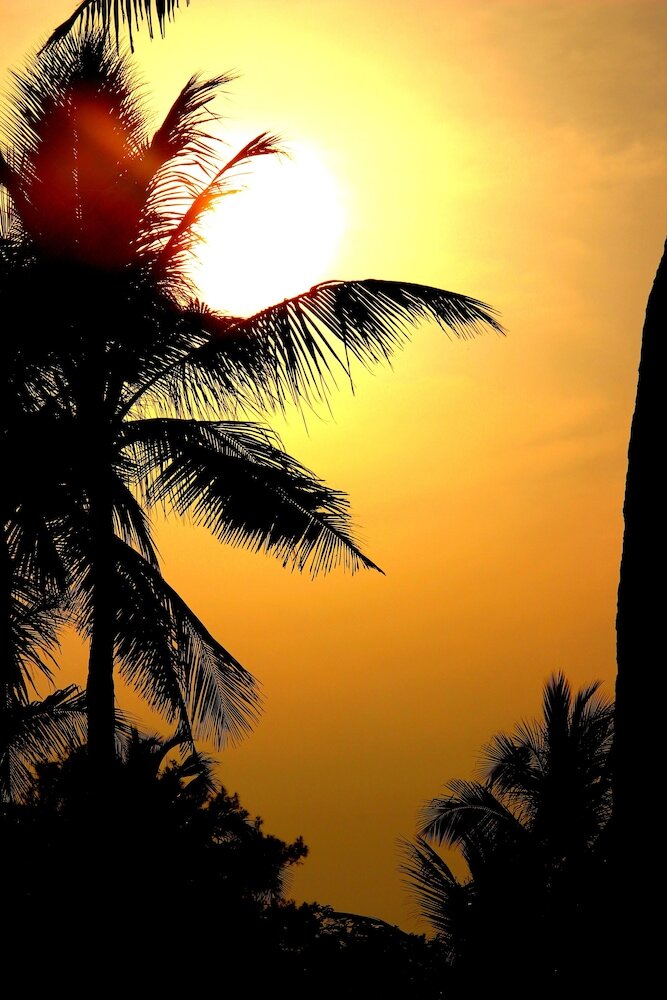 Фото Vgp Golden Beach Resort