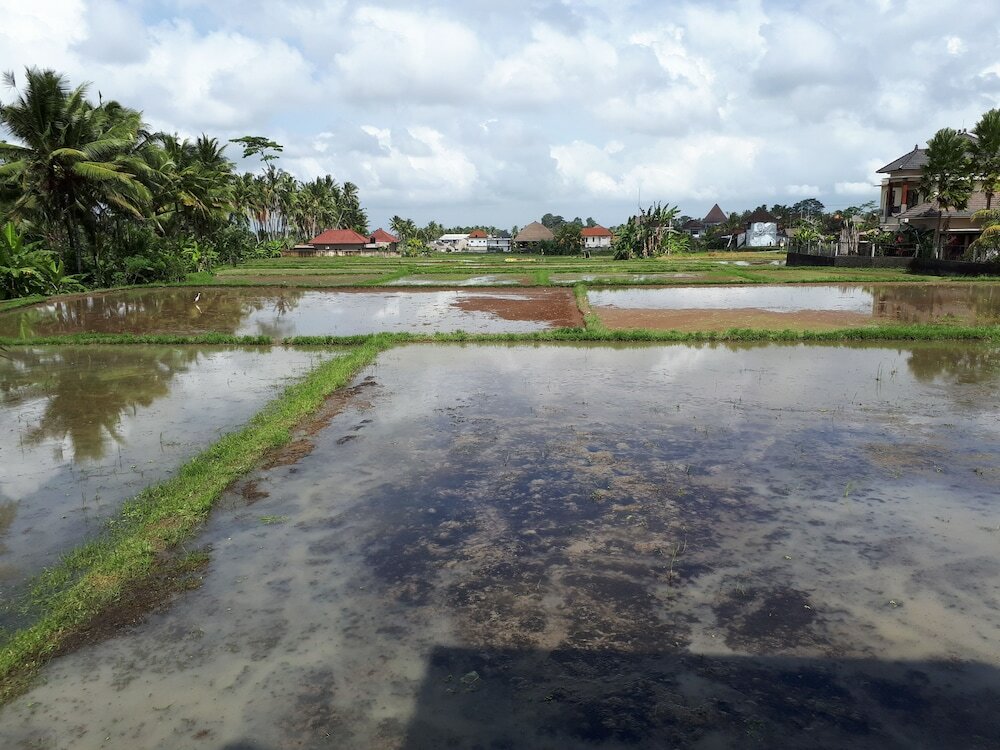 Фото Villa Kirani Ubud by Mahaputra-chse Certified