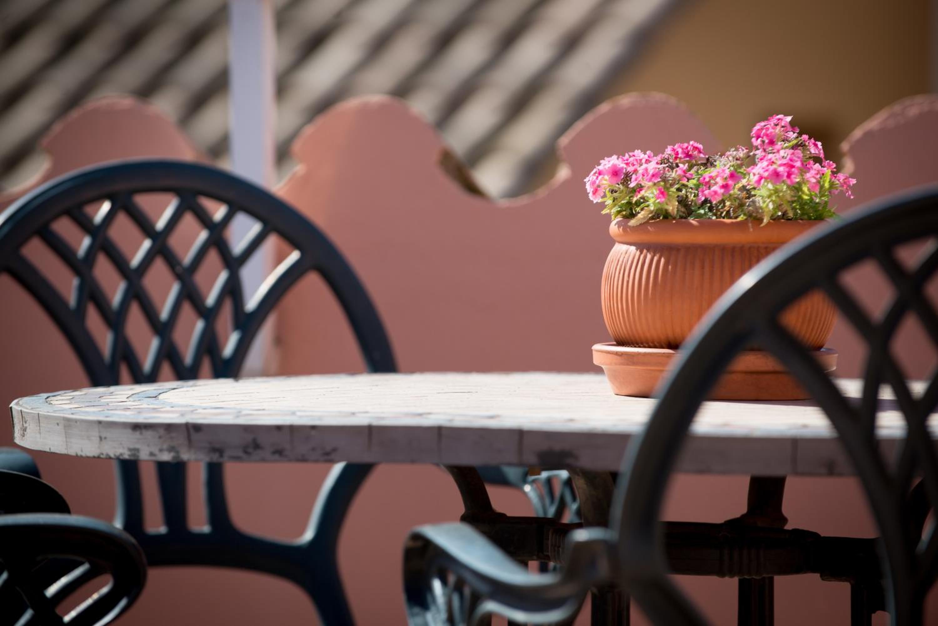 Фото Hotel Placa