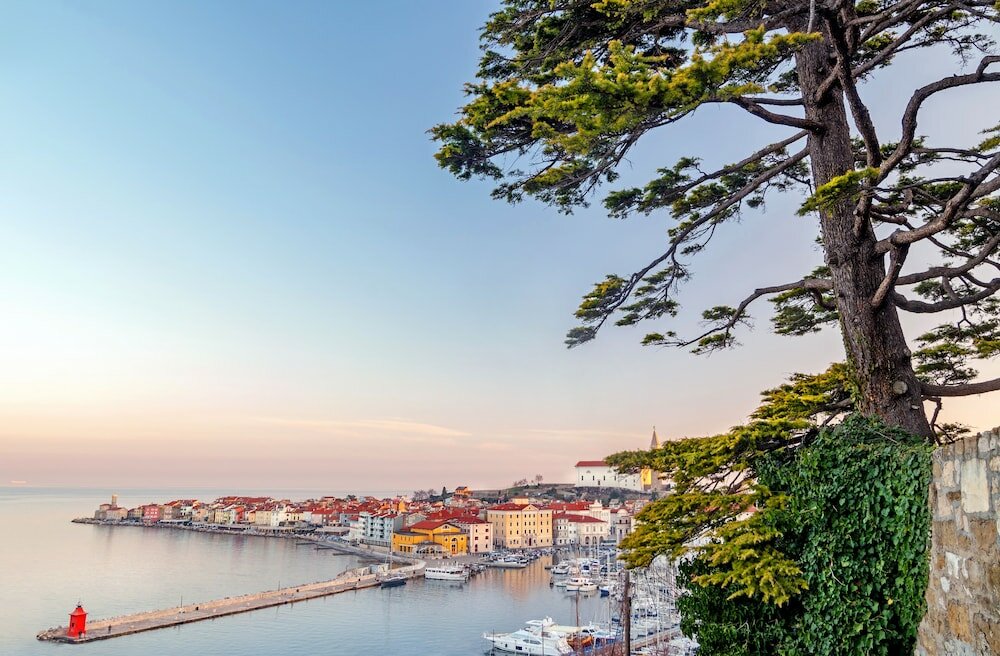 Фото Apartments Vila Piranesi