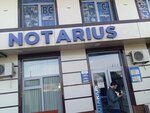 Notary Kurkmasovich B. (Small Ring Road, 72A), notaries