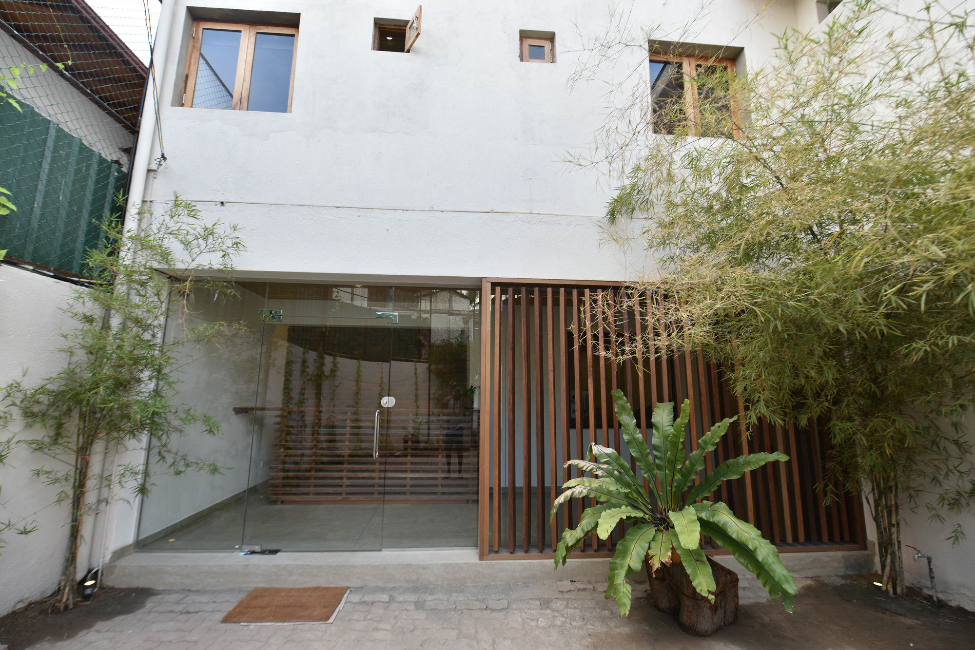 Фото Moss Colombo