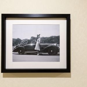 Фото Академик