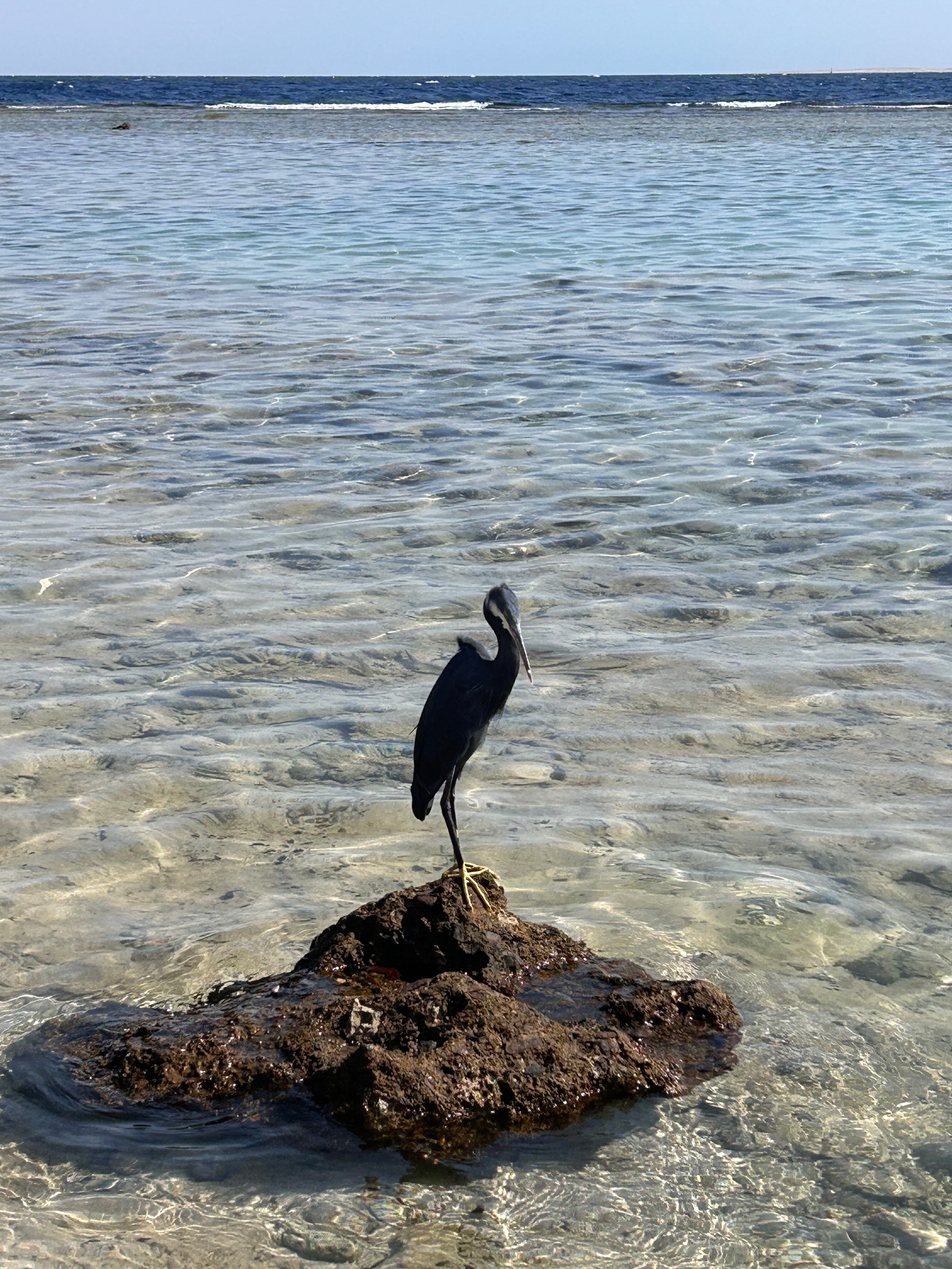 Фото Tamra Beach Resort