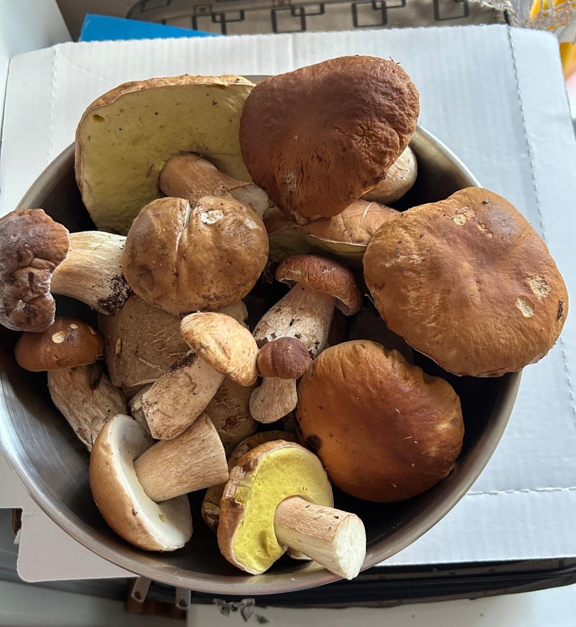 Фото Старый Мултан