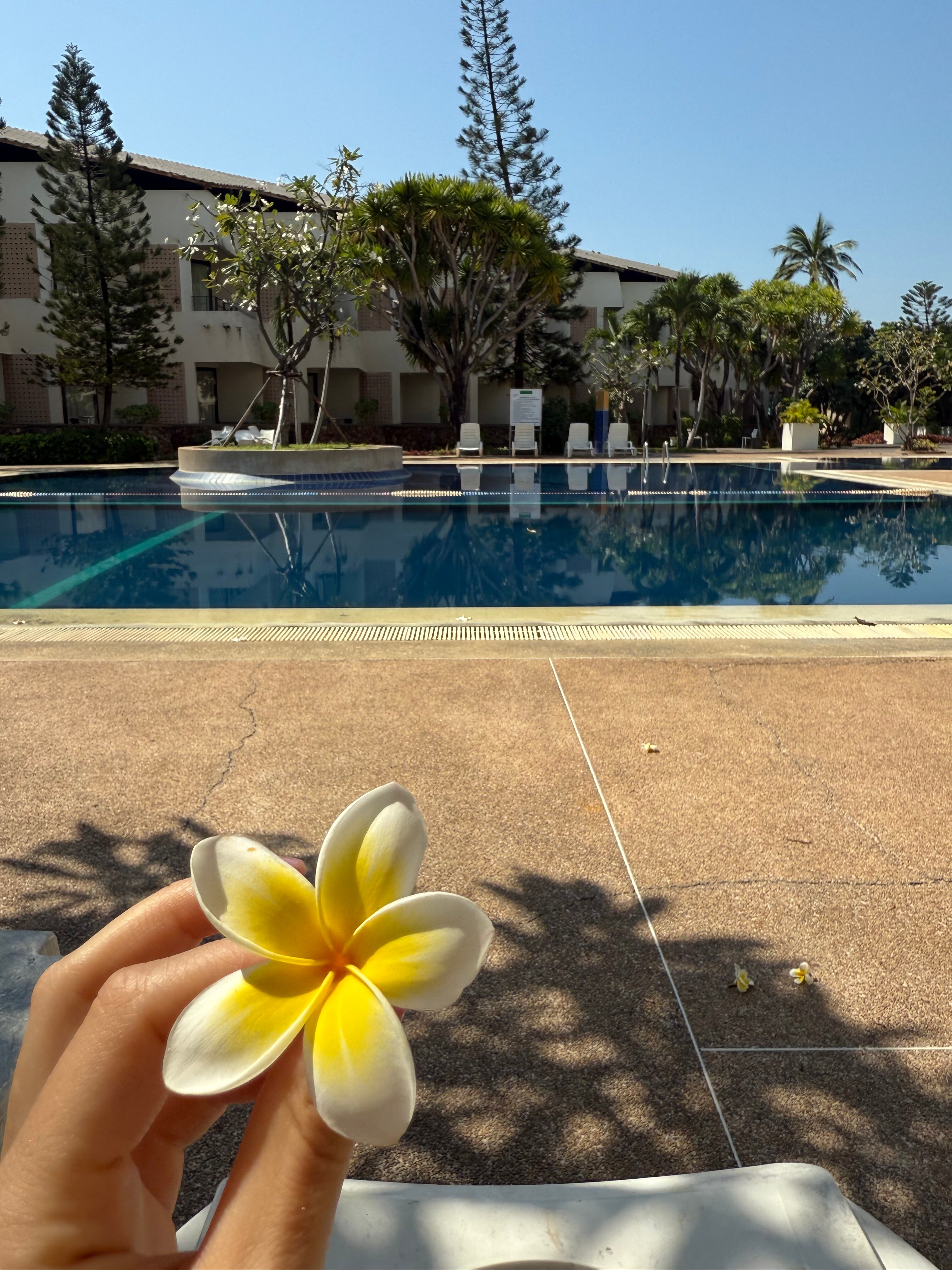 Фото Hotel Tropicana Pattaya