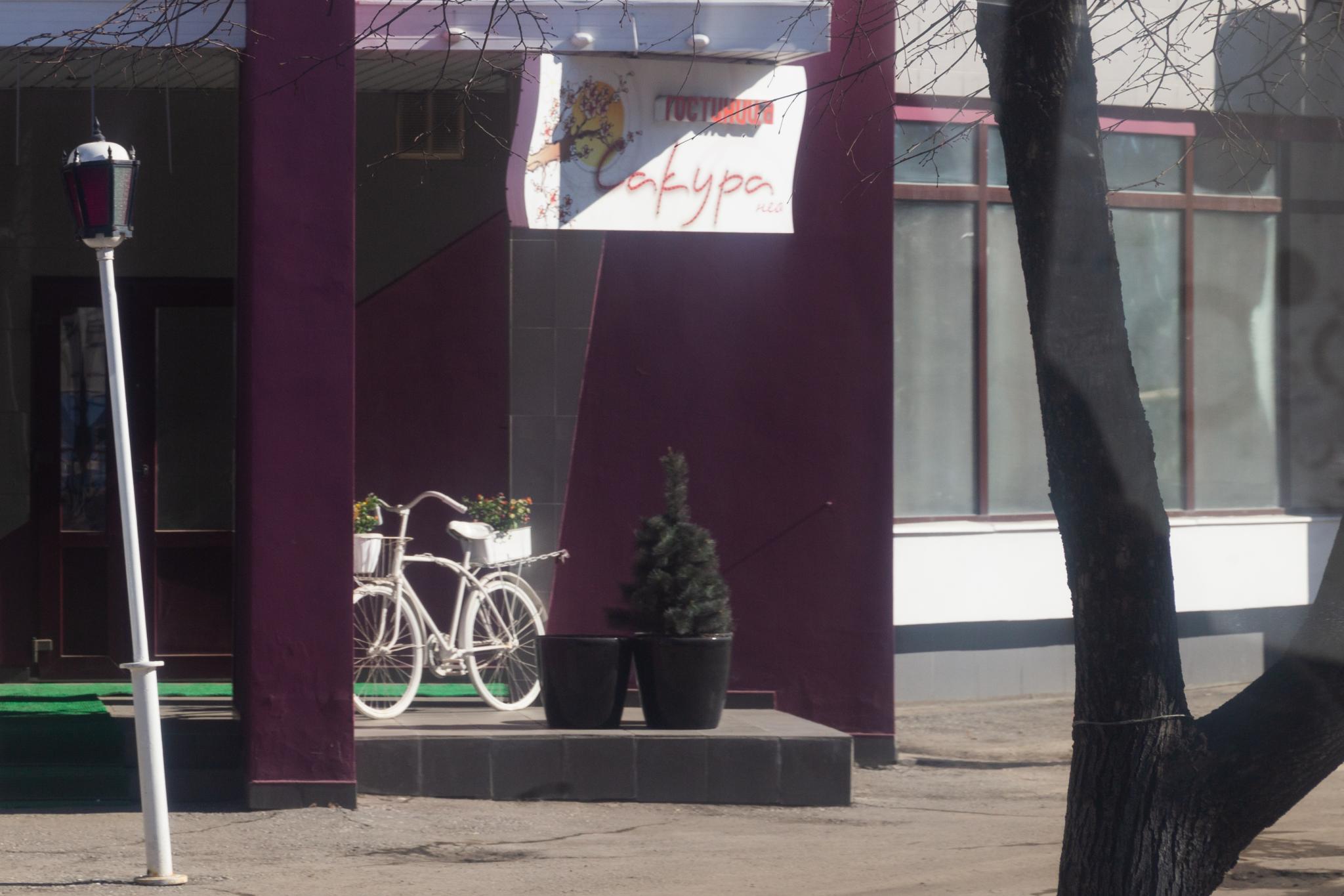 Фото Сакура Нео