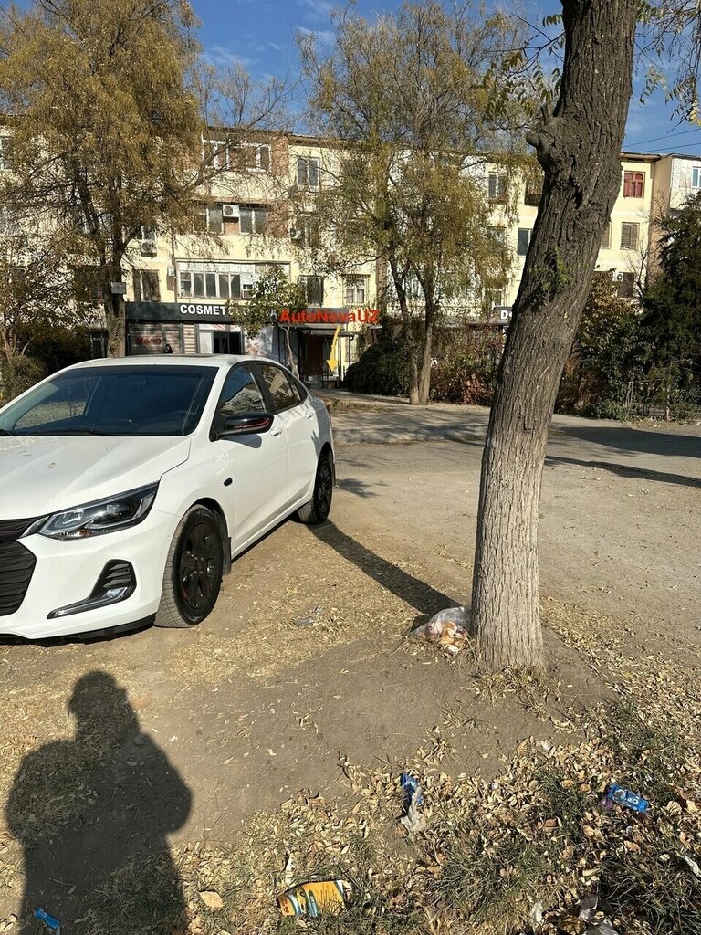 Auto parts and auto goods store Autonovauz, Tashkent, photo