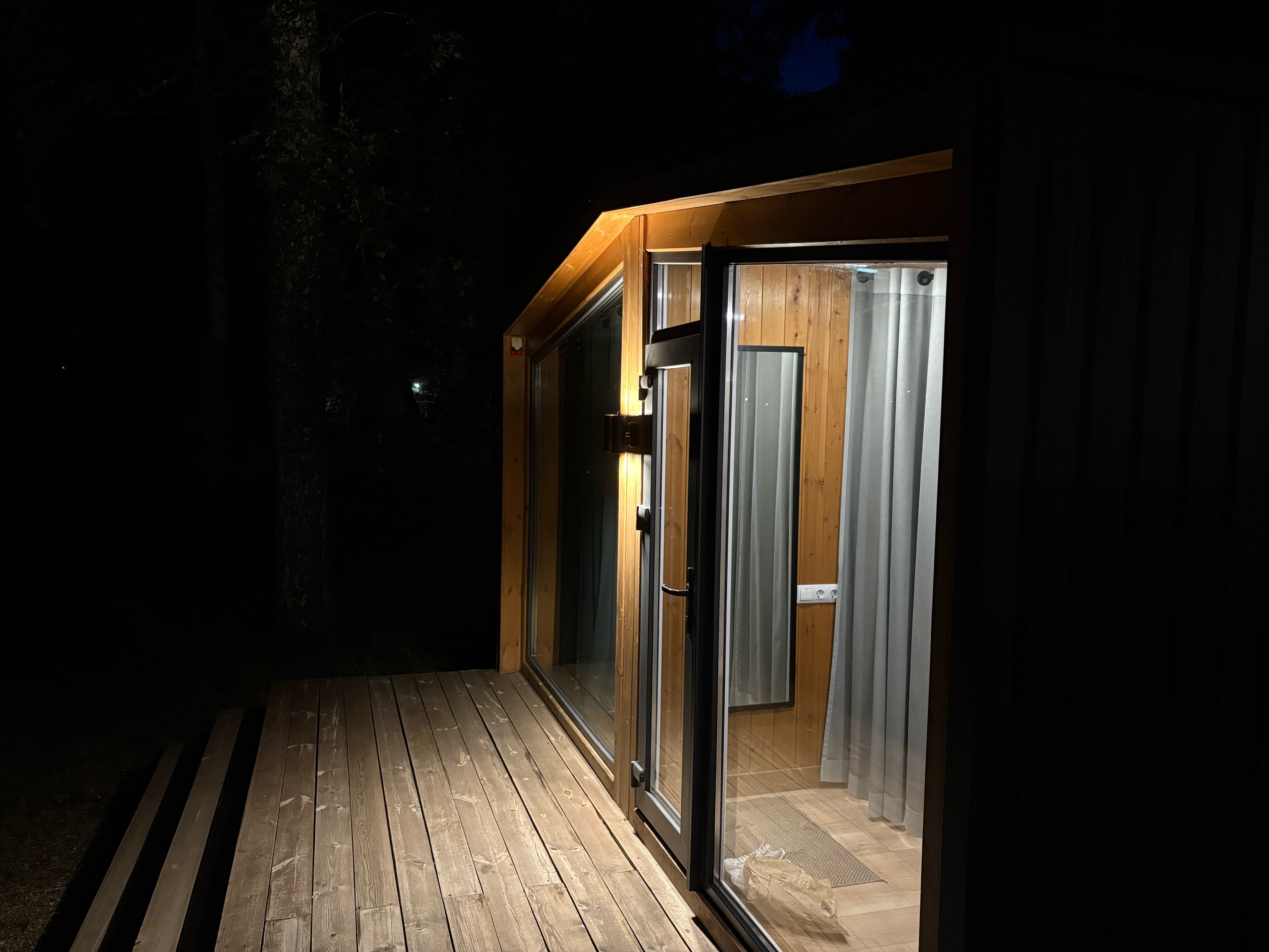 Фото Ветер в соснах