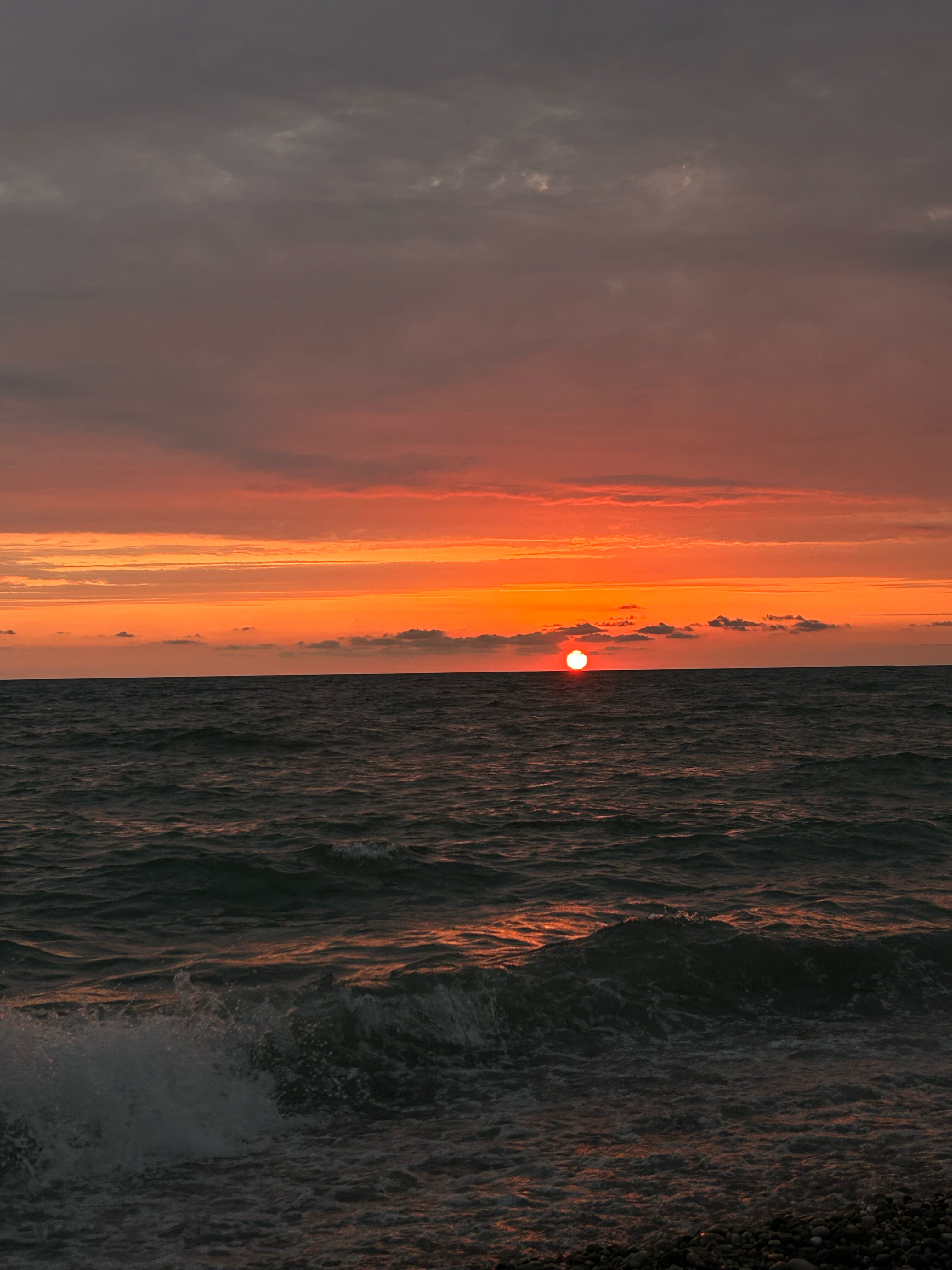 Фото Эко Магнолия