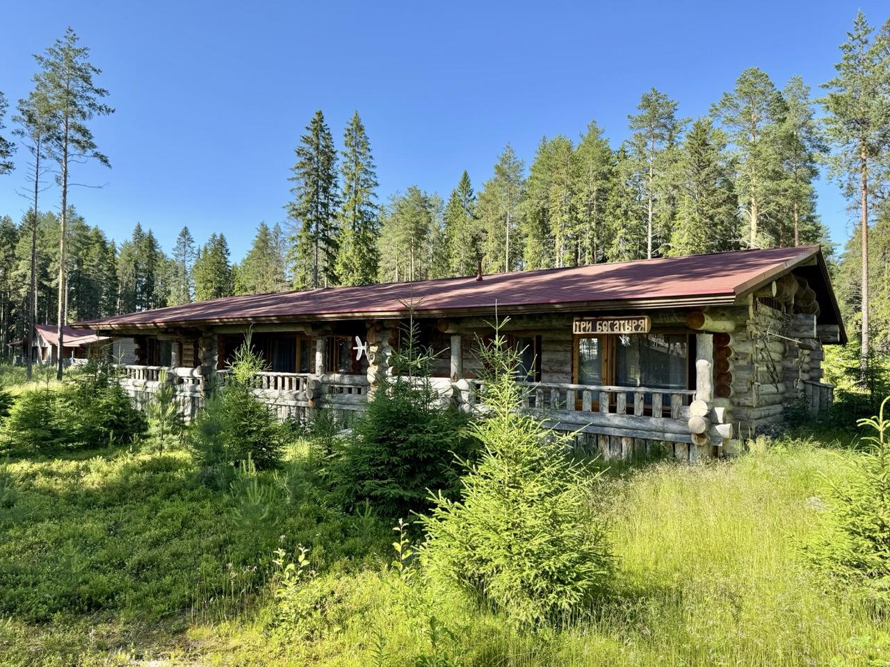 Фото Медвежка в Карелии