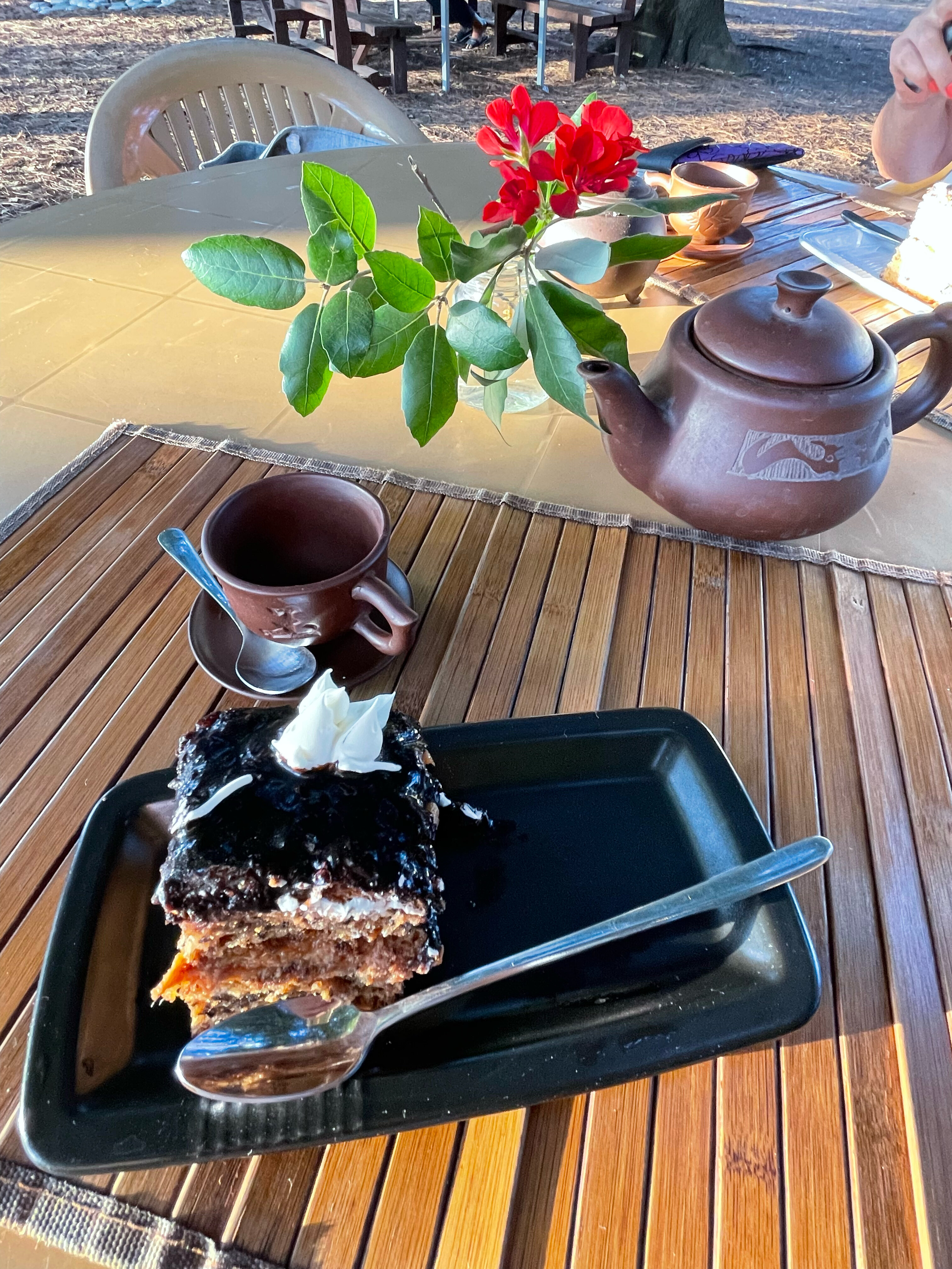 Фото Forest Club