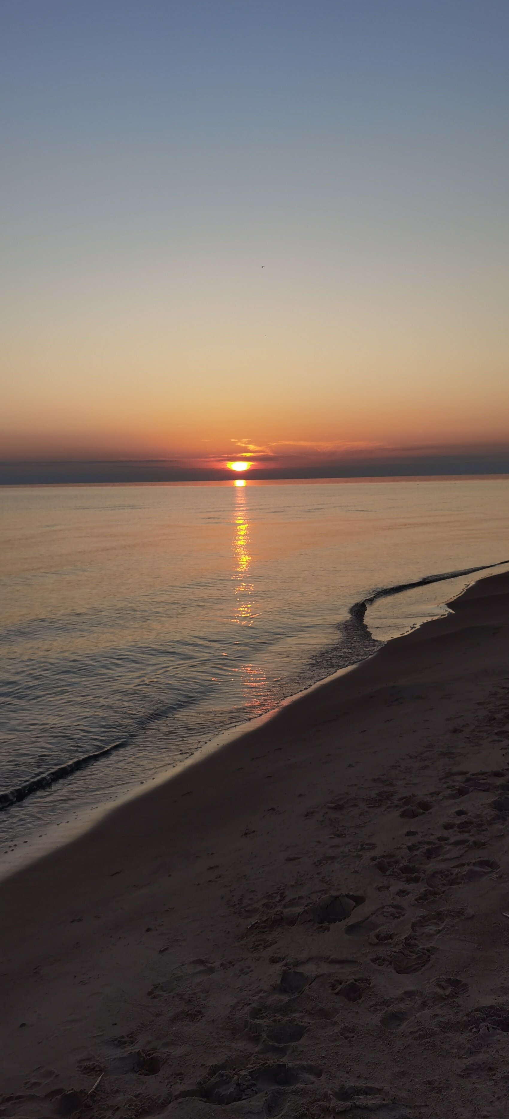 Фото Тулокса