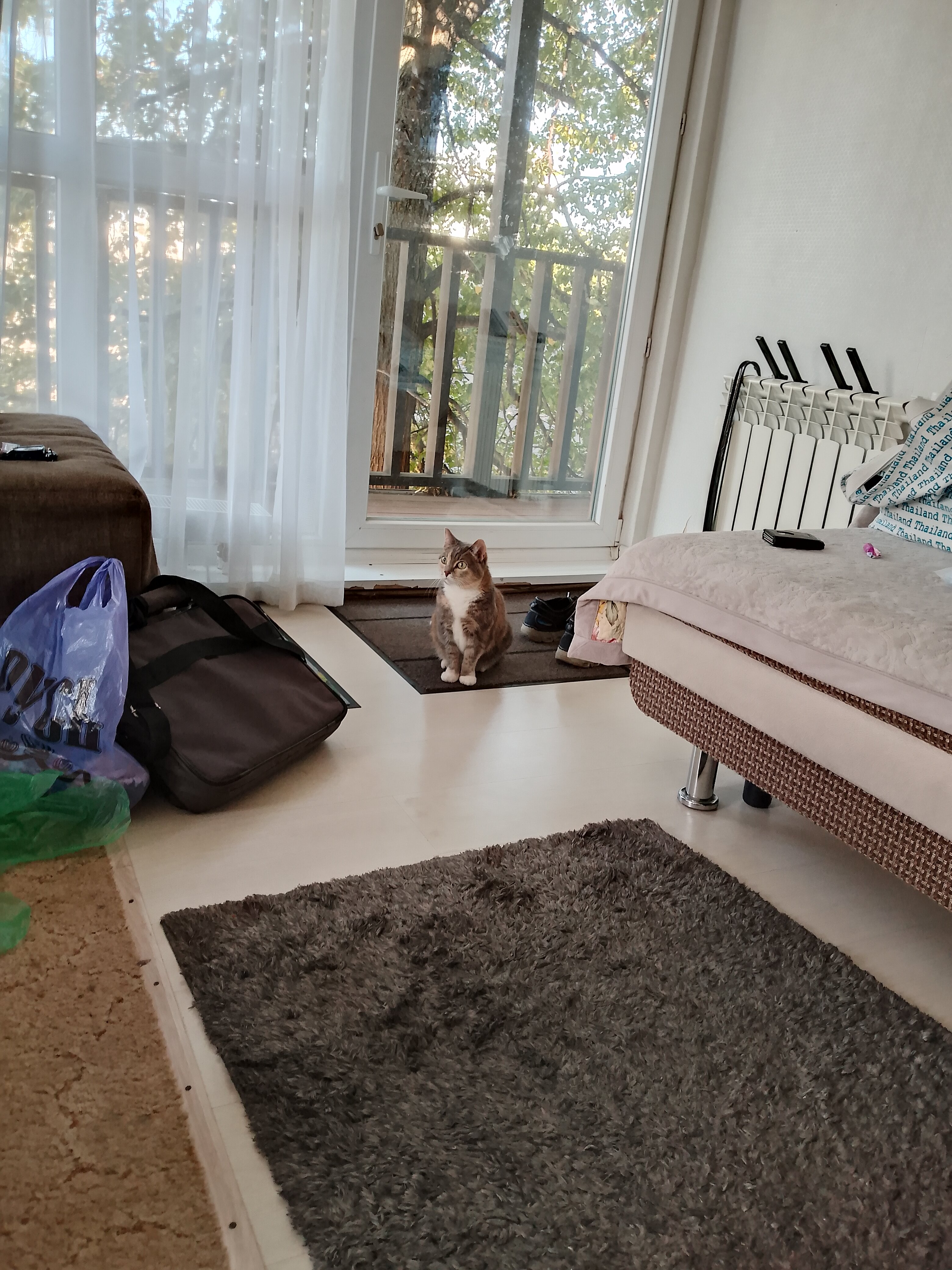 Фото В гостях как дома на Офицерской