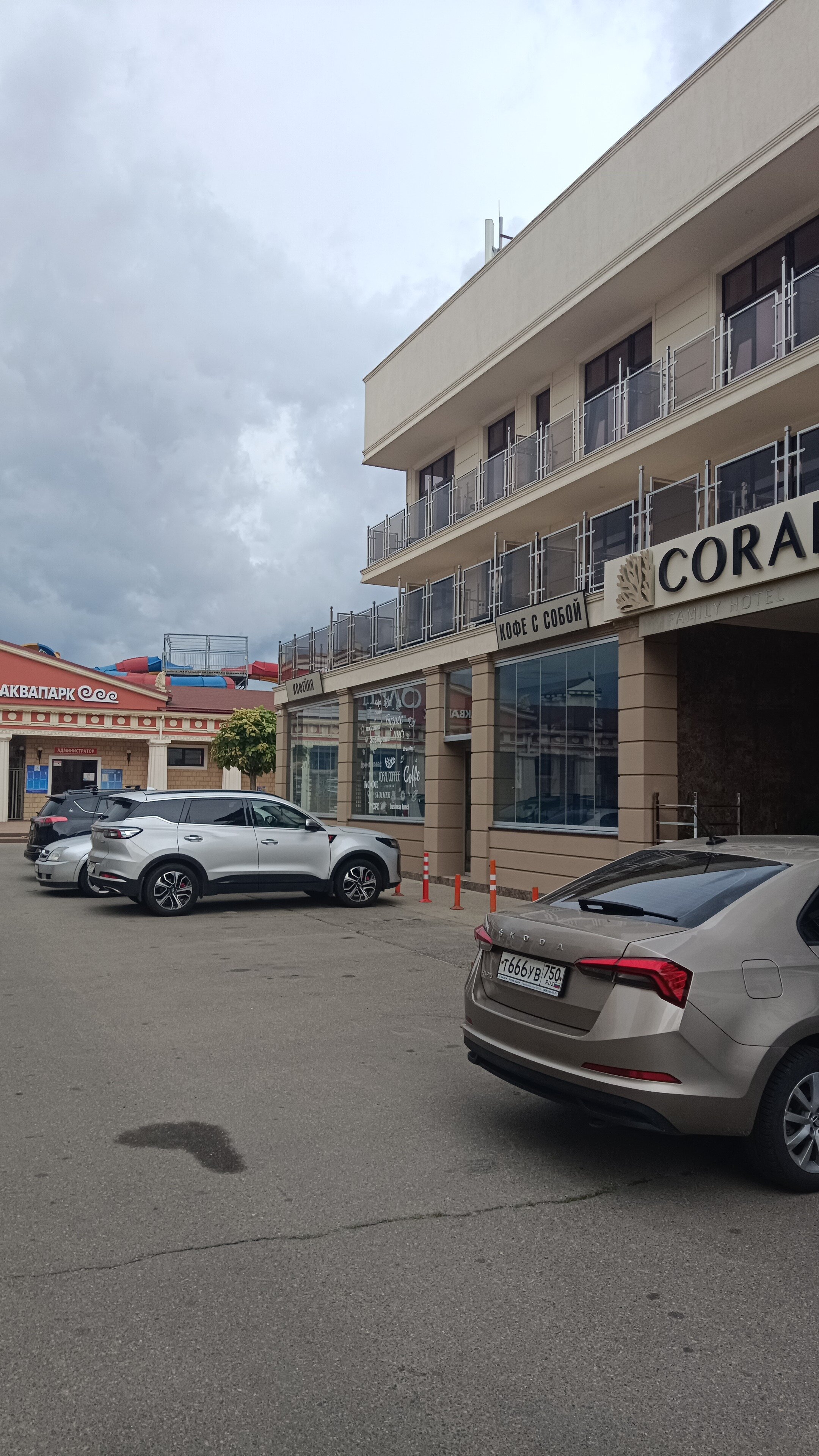 Фото Coral