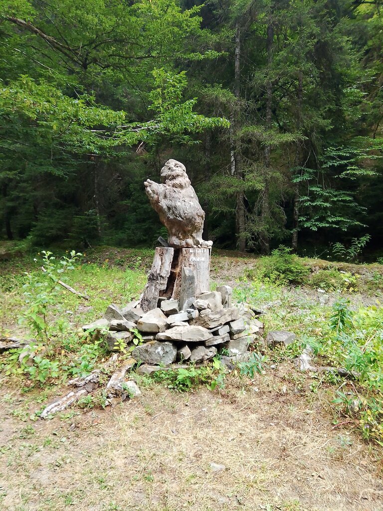 Park Borjomi Kharagauli National Park ბორჯომ ხარაგაულის ეროვნული პარკი, Borjomi, photo