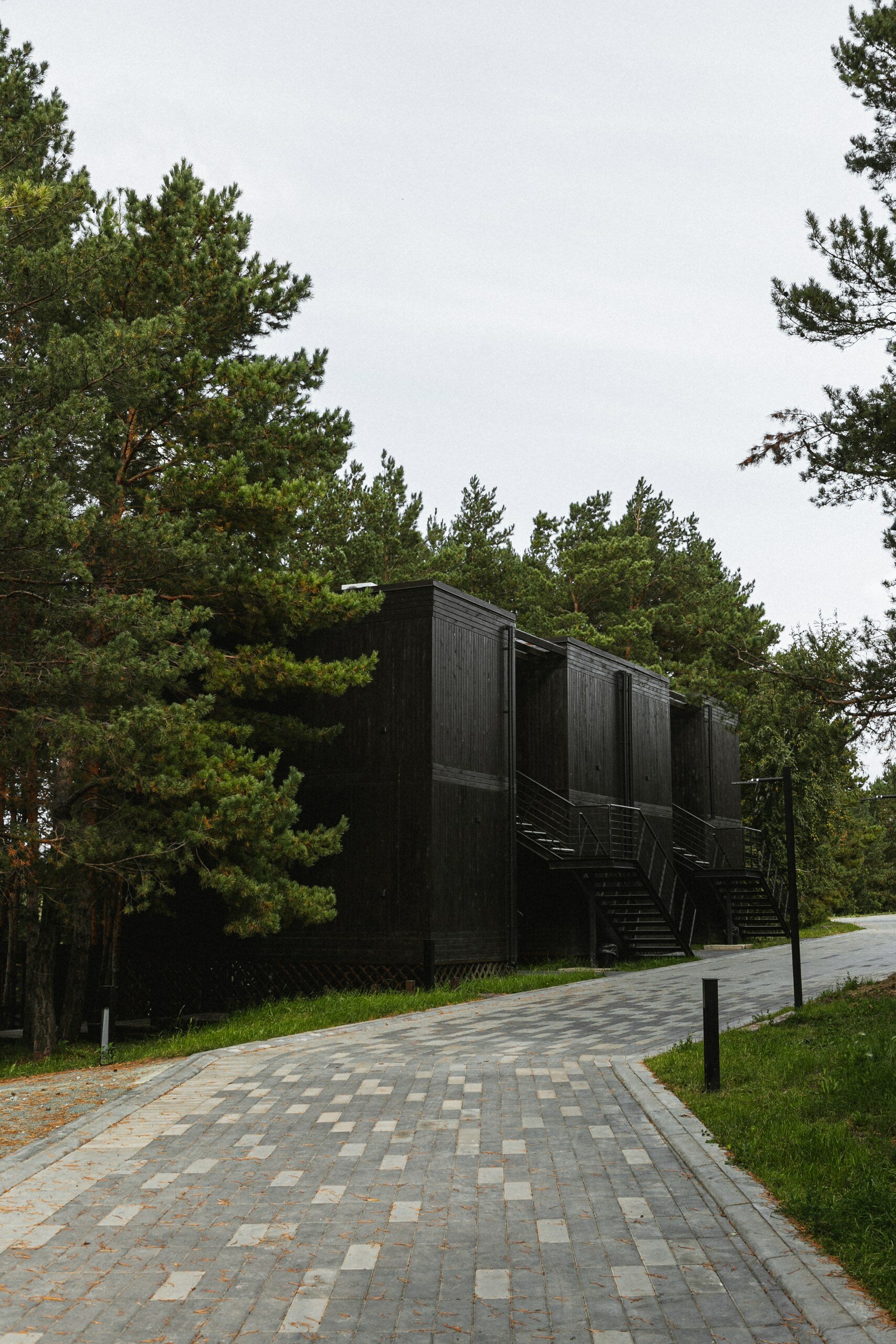 Фото Эко-клуб Шышки