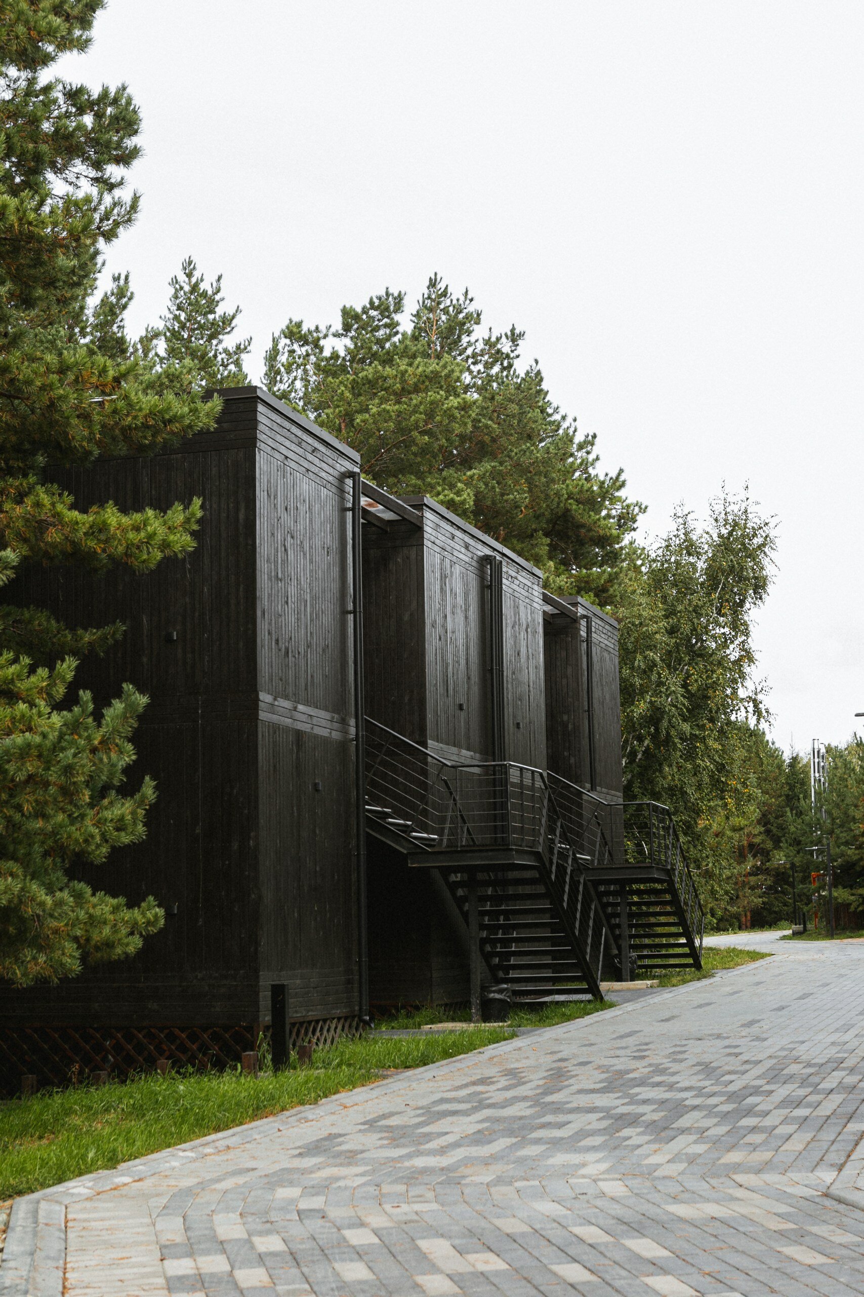 Фото Эко-клуб Шышки