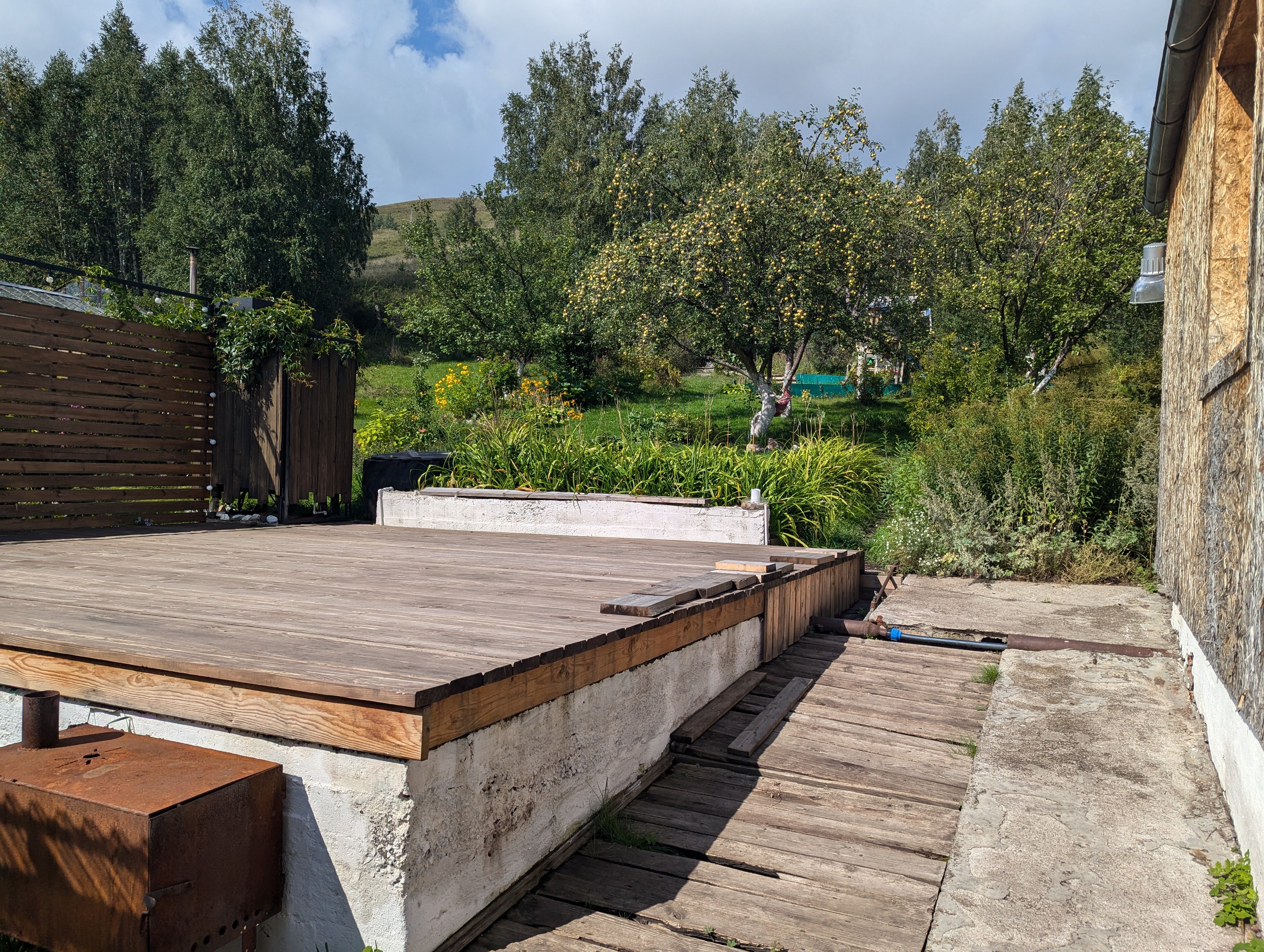 Фото Дикая Вишня