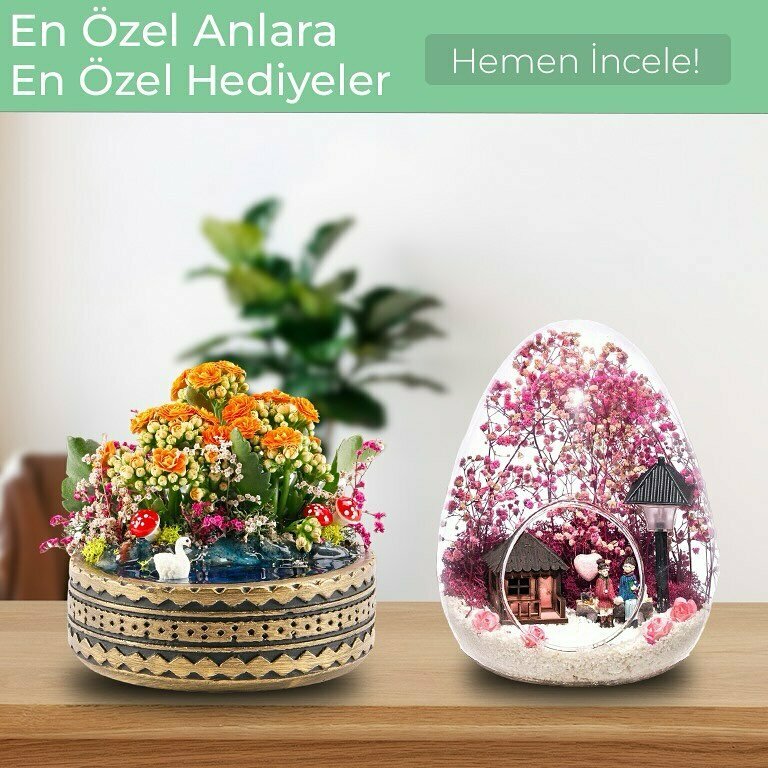 Flower shop Chichek Vitrini, Istanbul, photo