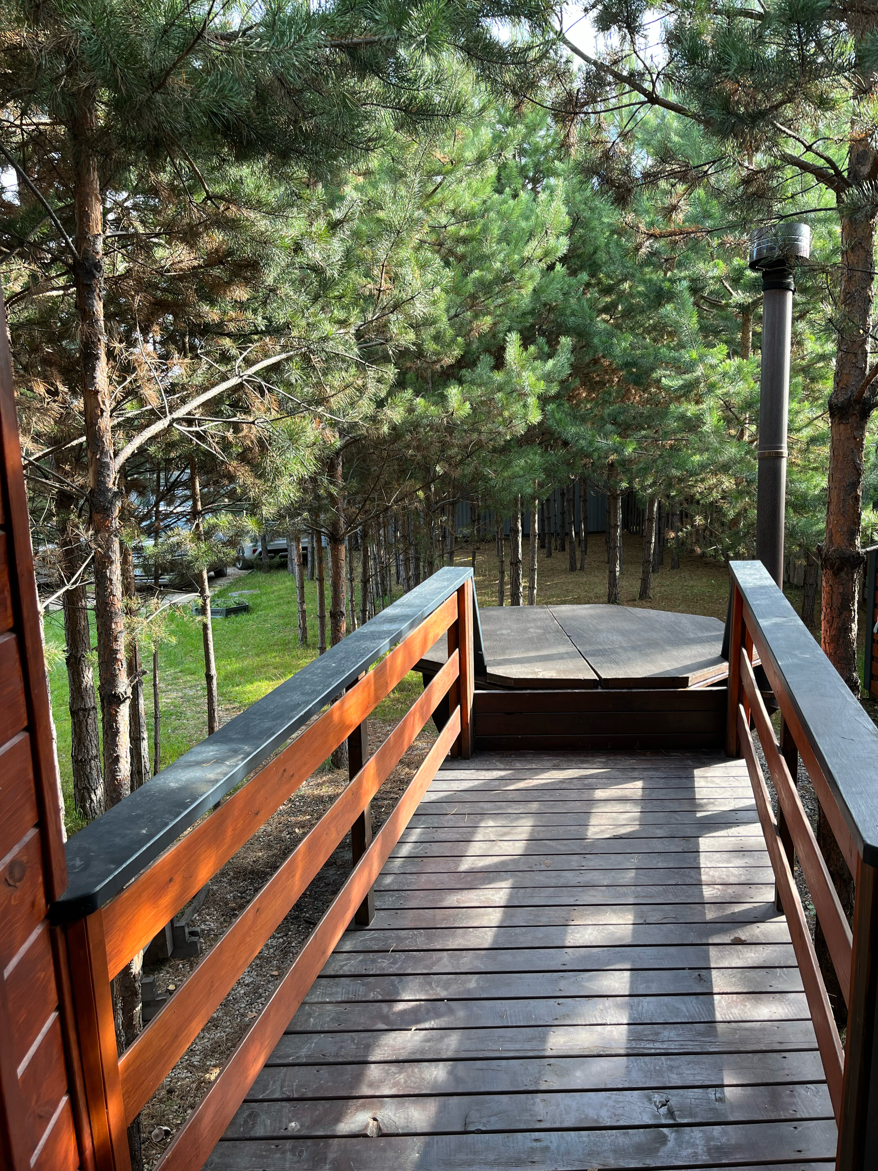 Фото Barn u lesa