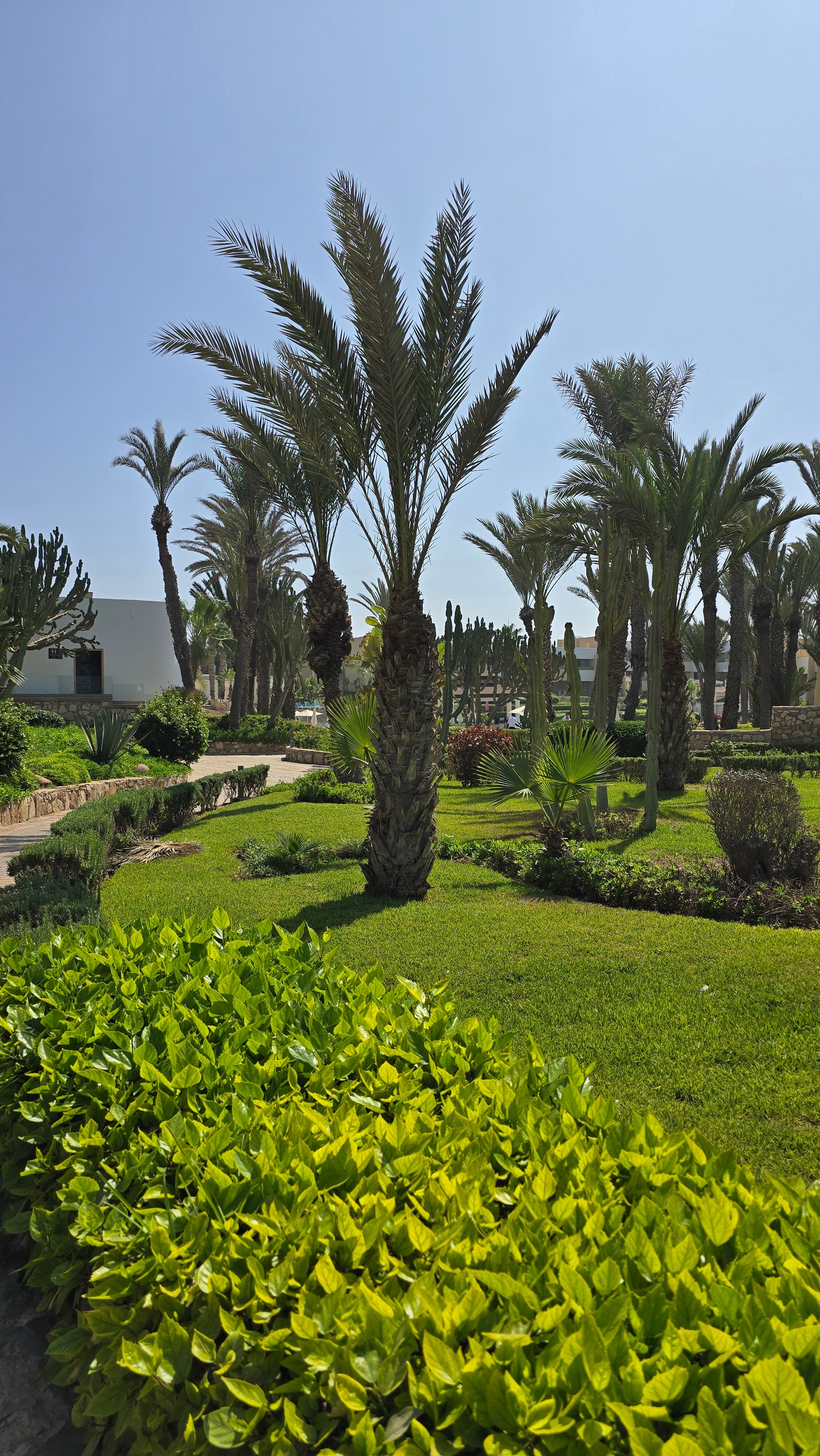 Фото Dunes d'Or Ocean Club