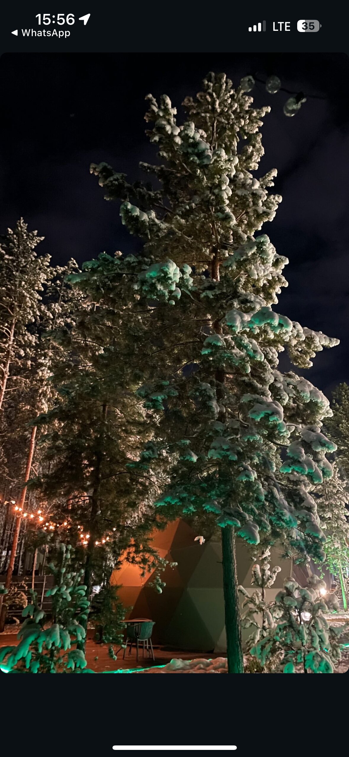 Фото Лаки Глэмпинг