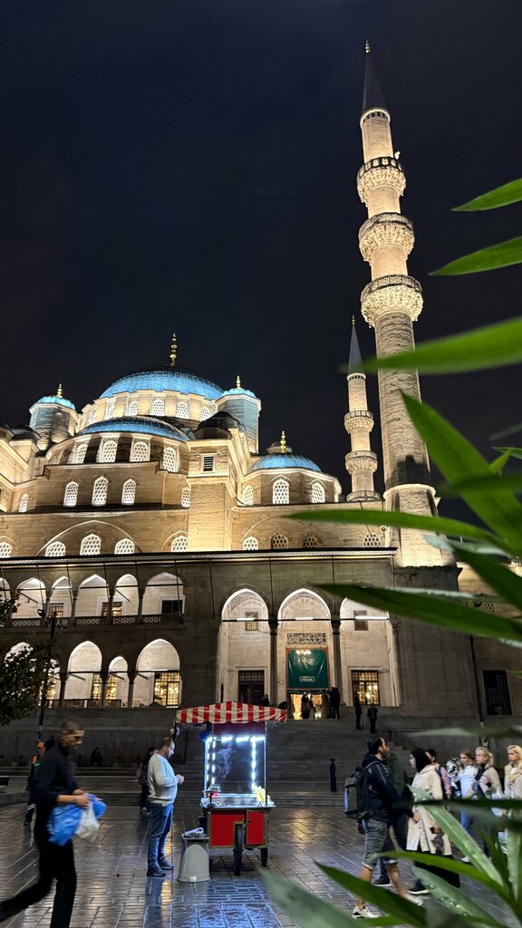 Landmark, attraction Eminonu, Istanbul, photo