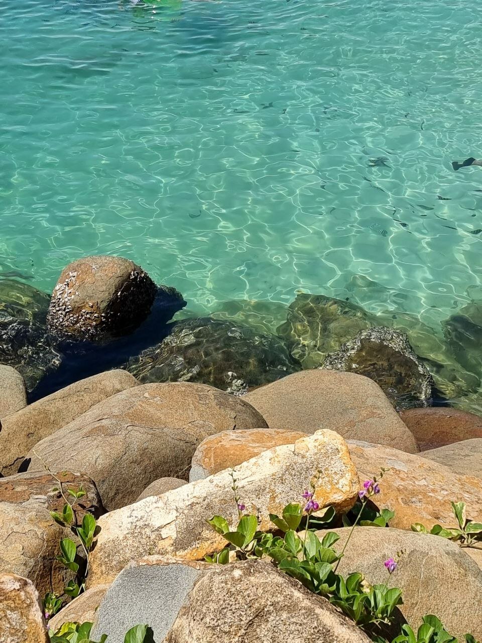 Фото Amiana Resort Nha Trang