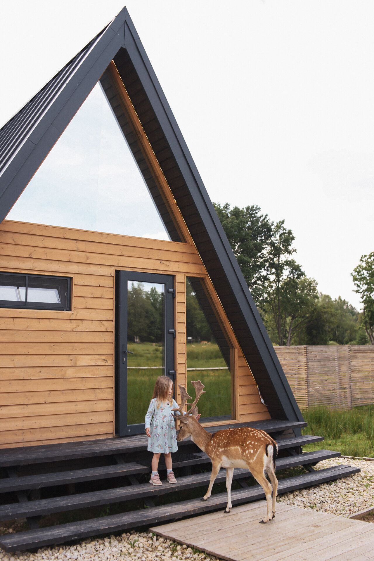 Фото Дом Лани