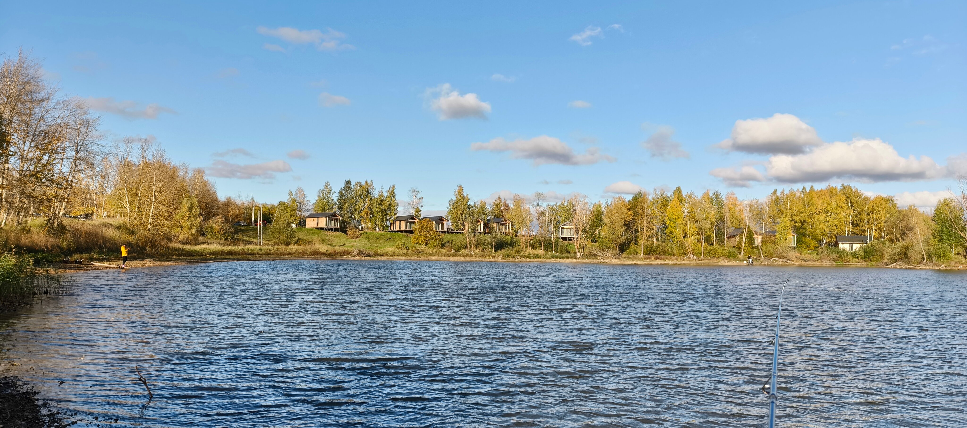 Фото Бобры и Утки