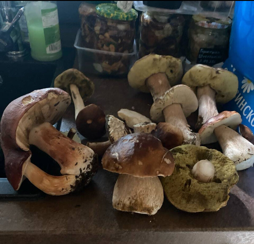 Фото Домик в Лисичках