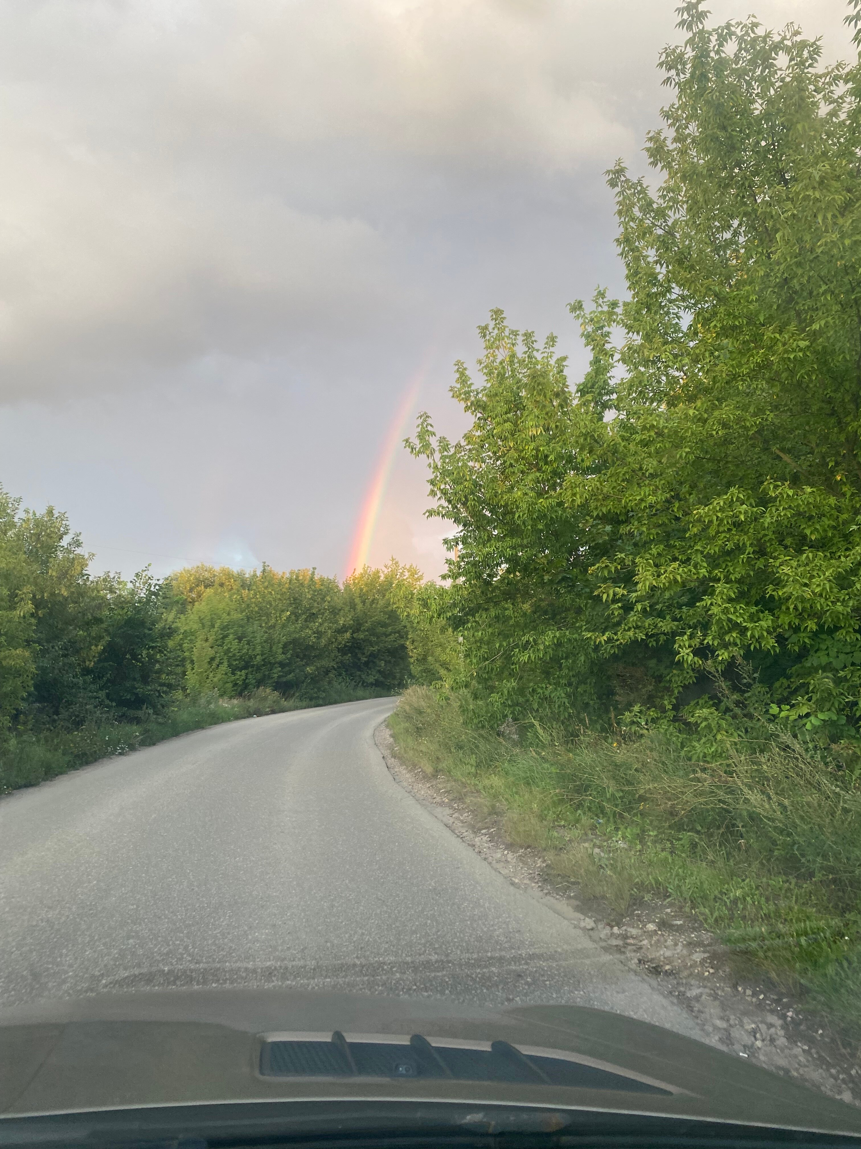 Фото Прованс