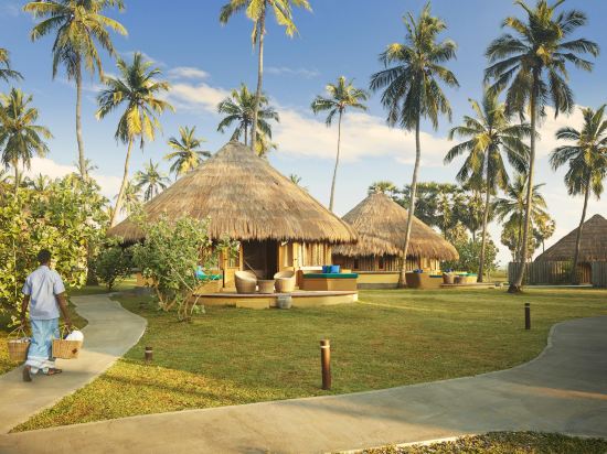 Фото Jetwing Surf