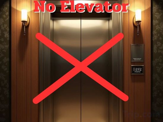 Фото Krabi River Hotel