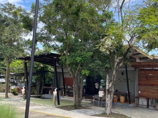 Фото Smile buffalo resort