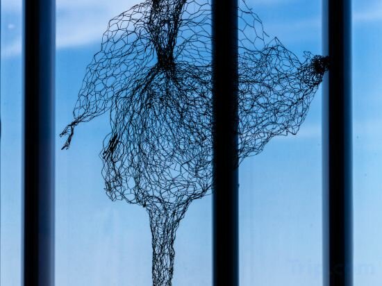 Фото 182854828568