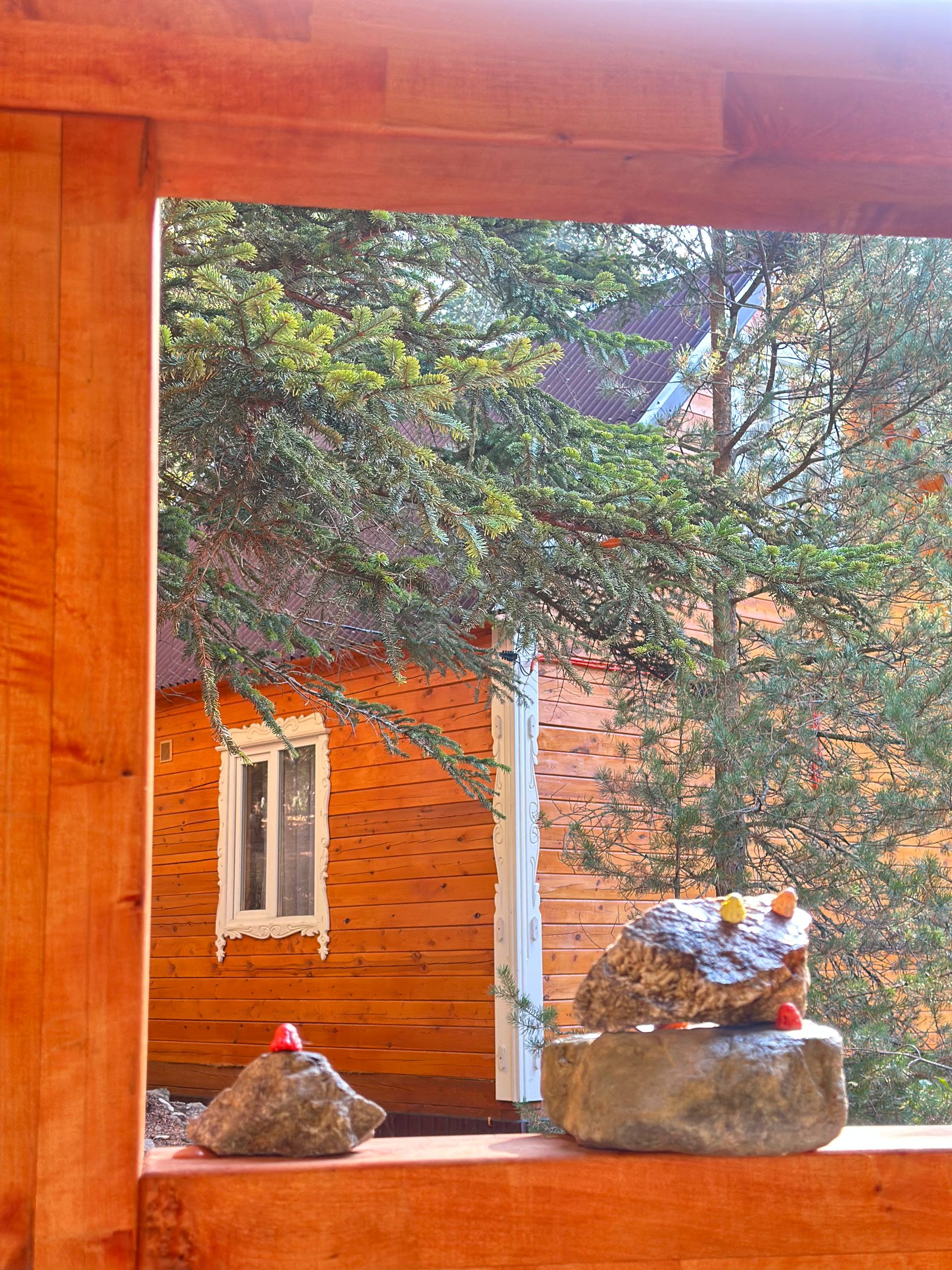 Фото Мухоморье