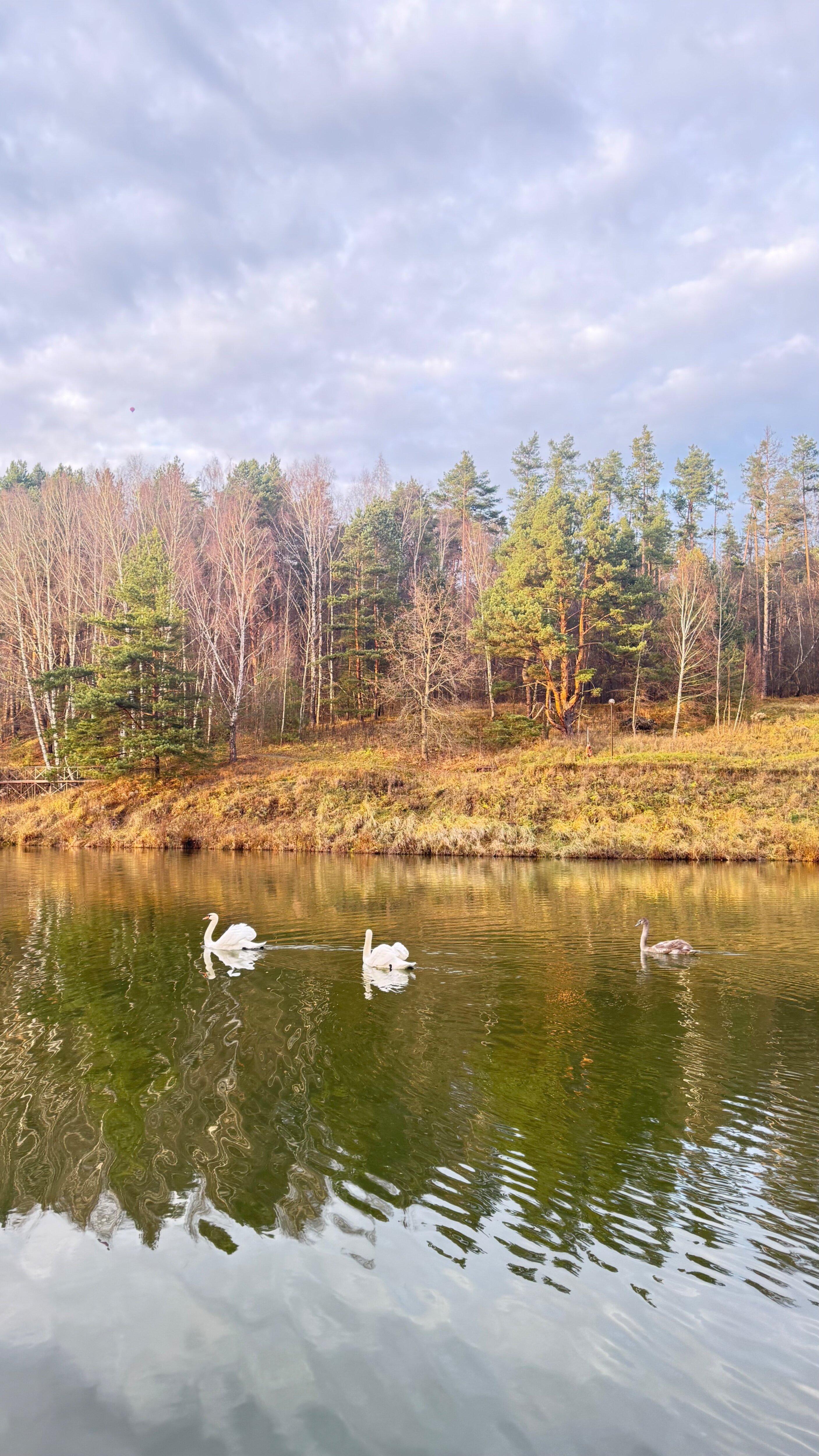 Фото Капитанский Остров 57