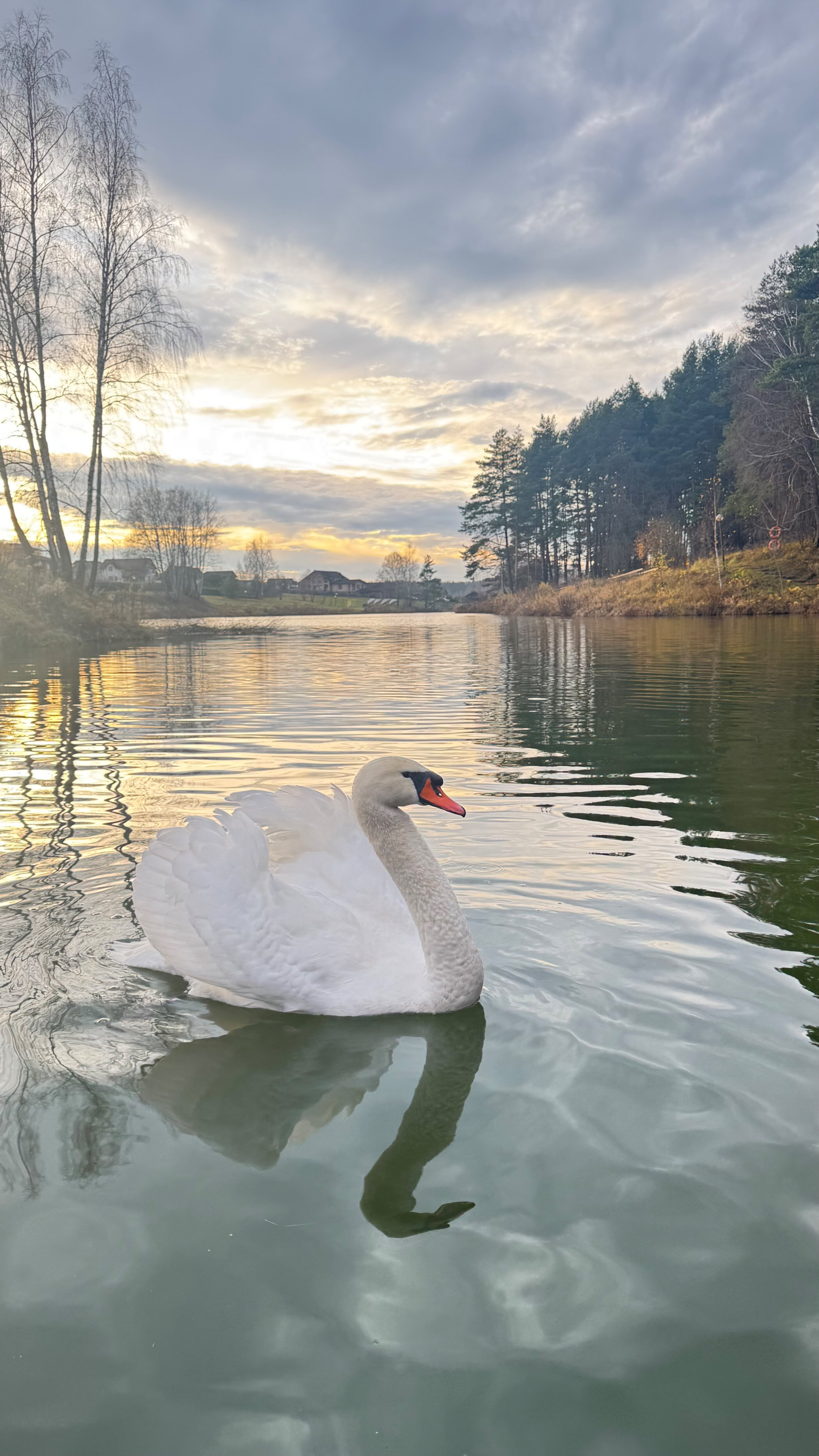 Фото Капитанский Остров 57