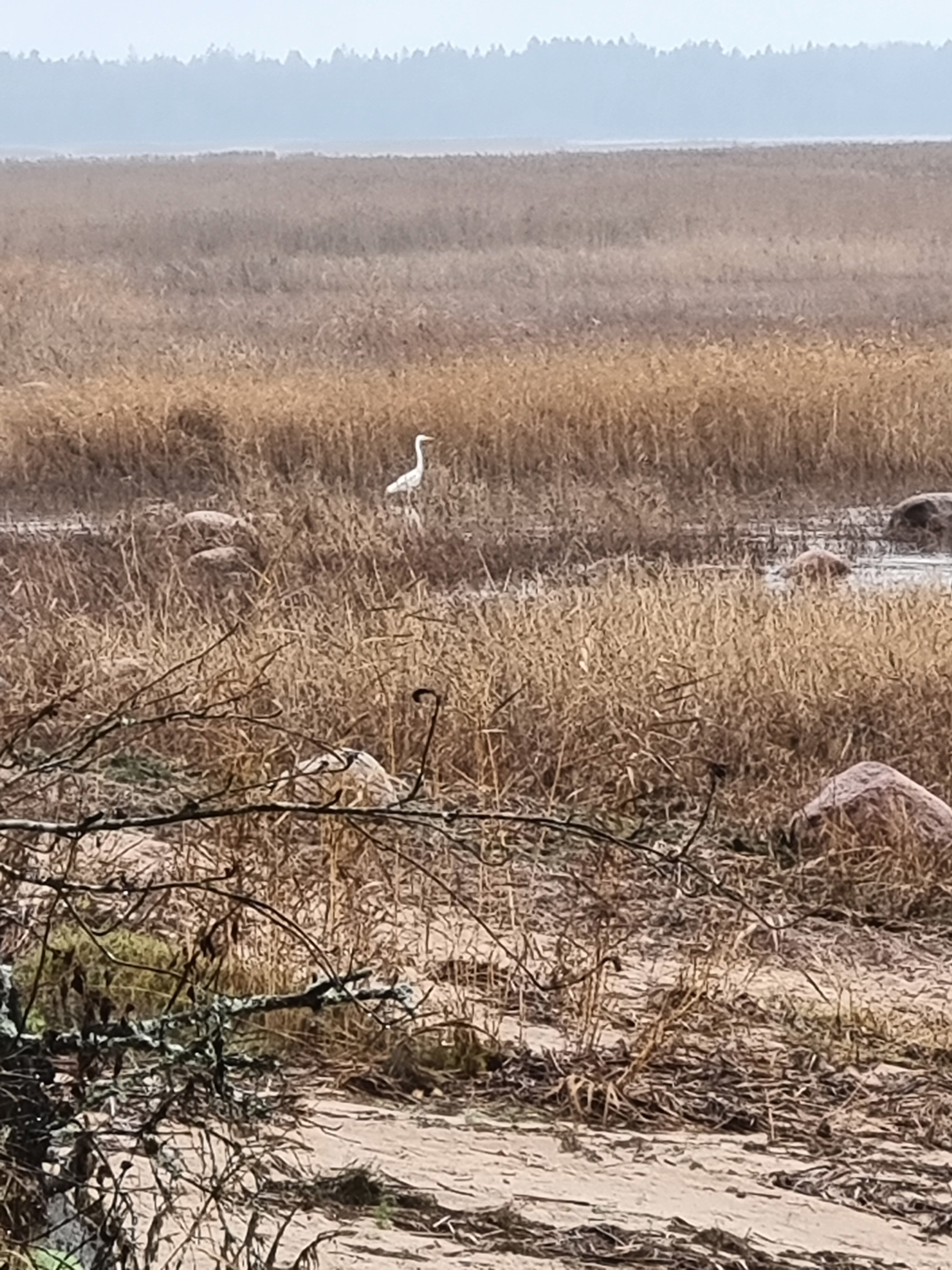 Фото Янтарный Берег