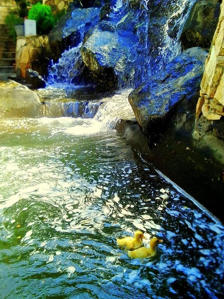 Фото Гостиничный комплекс Park Avenue