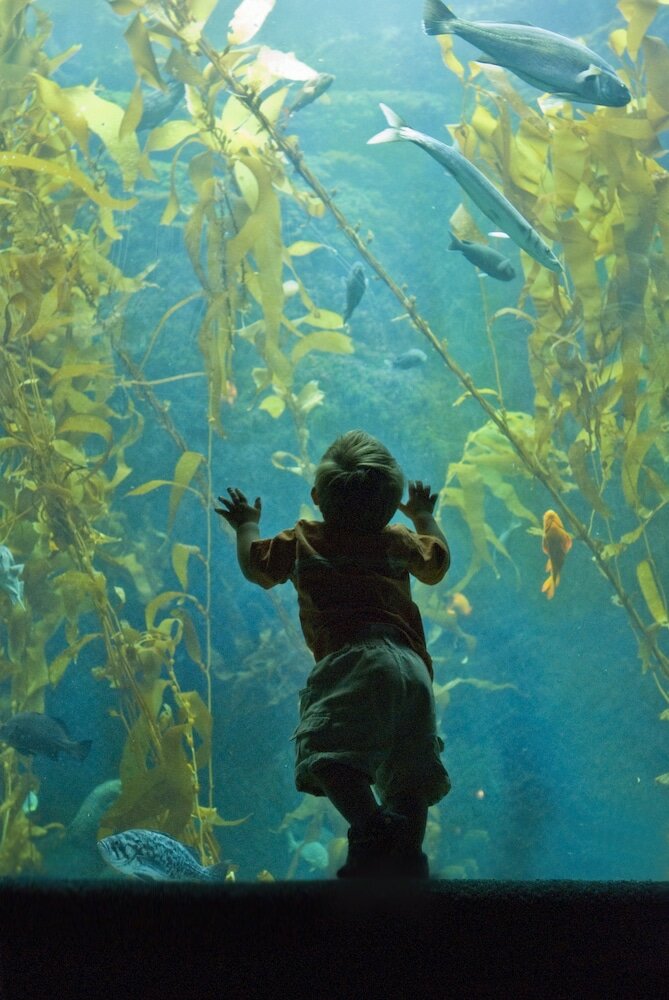 Фото San Diego Marriott Gaslamp Quarter