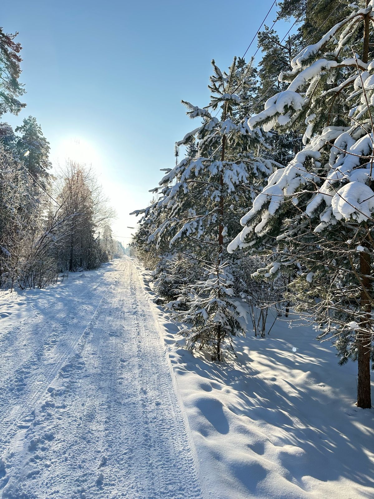 Фото Вырицкие Тарханы