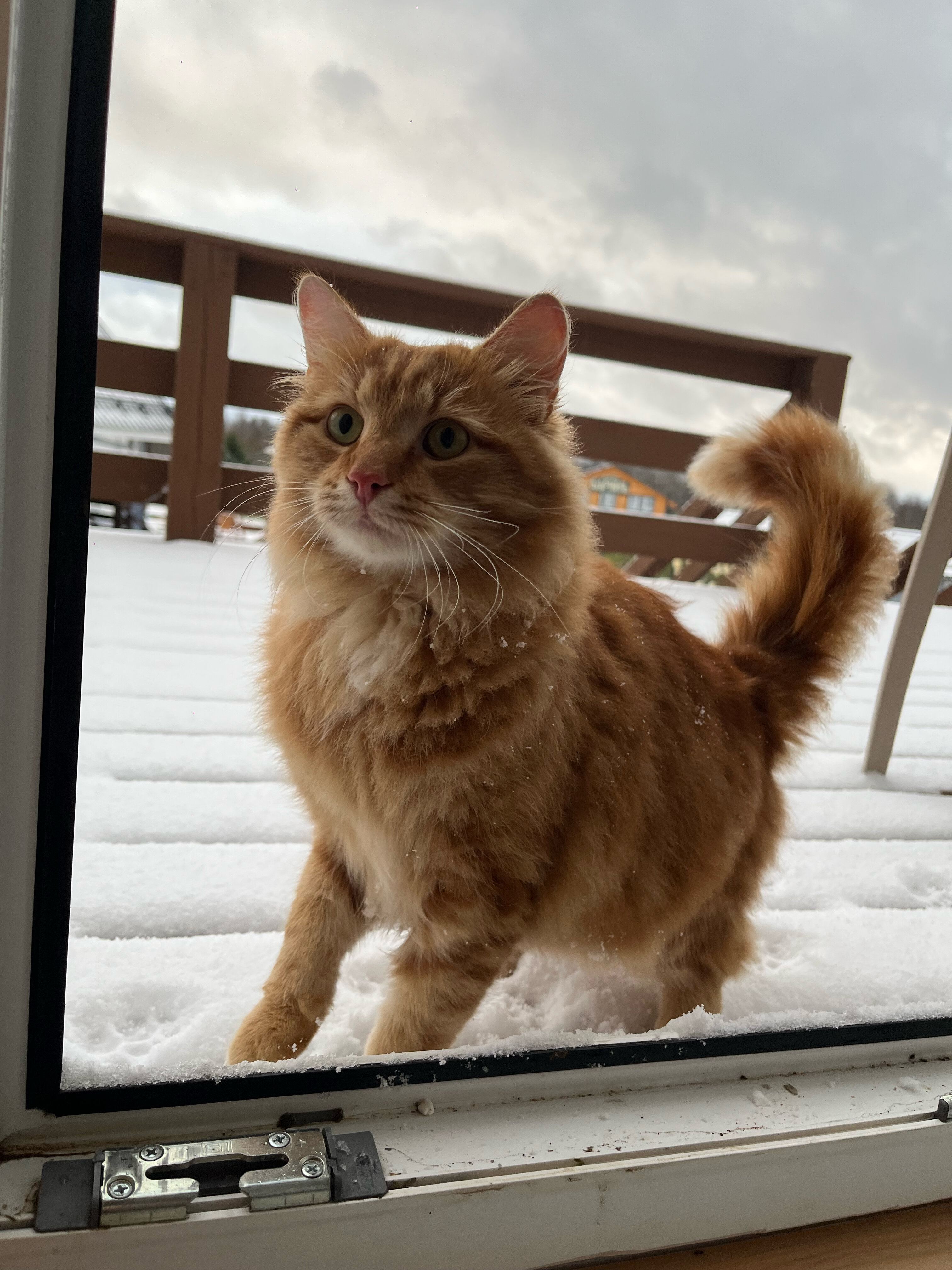 Фото Усадьба Святогорье