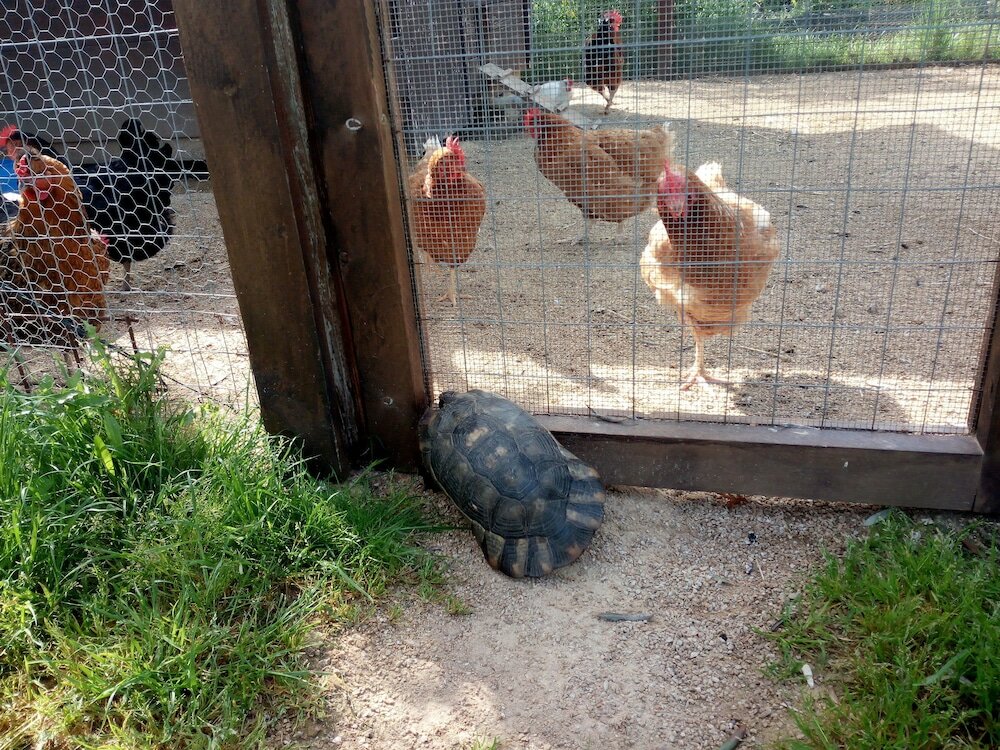 Фото Tenuta Petra Bianca