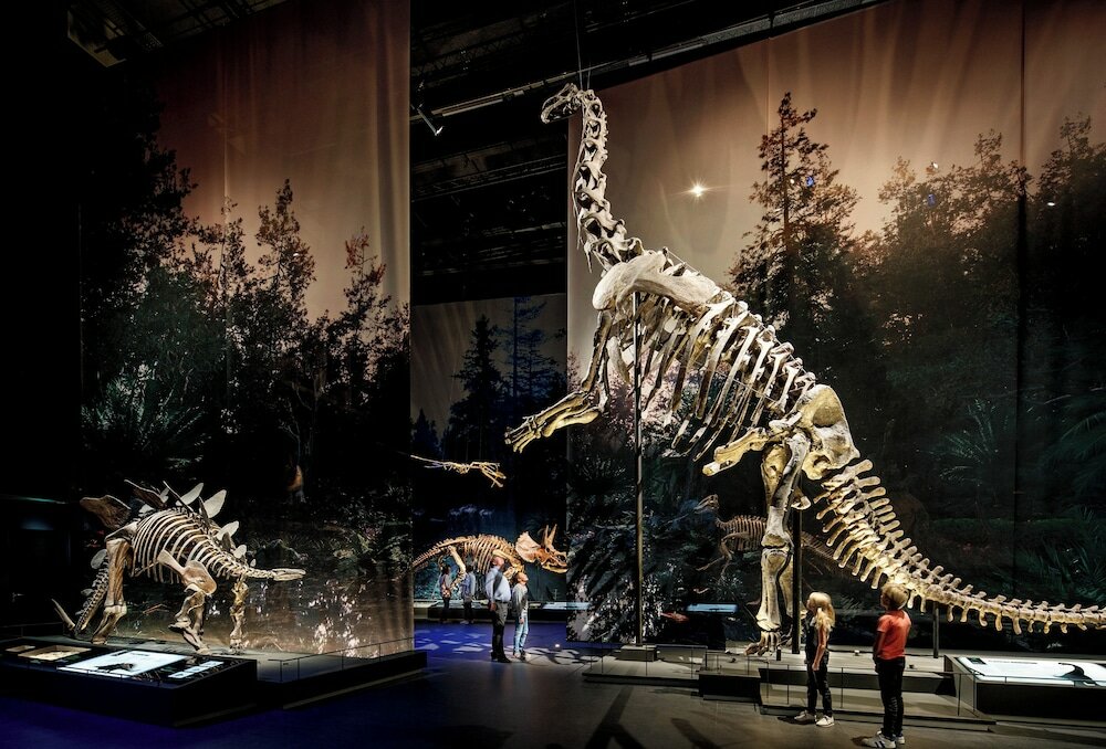 Фото Golden Tulip Leiden Centre