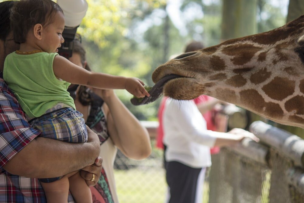 Фото Avid Hotels Melbourne Viera, an Ihg Hotel