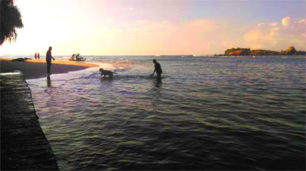 Фото Chaya Villa Guest House