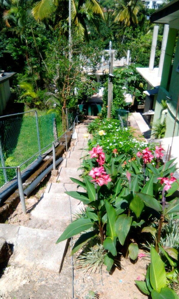 Фото Miracle Villa